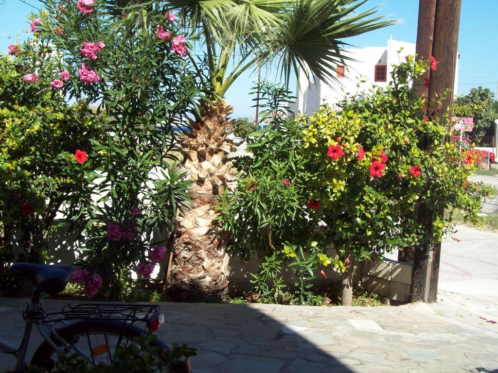 Apartment Anastasia Korissia (Kea)